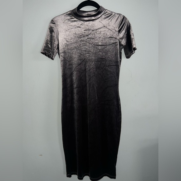 Zara Velvet Dress (brownish silver) - Picture 1 of 5